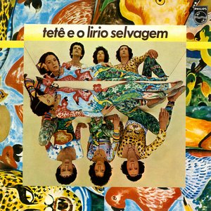 Image for 'Tetê e o Lírio Selvagem'