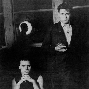 'Coil'の画像