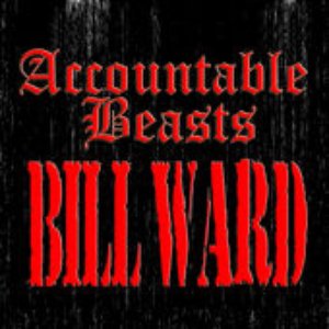 Изображение для 'Accountable Beasts'