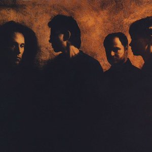 Image pour 'Kronos Quartet'