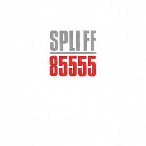 Image pour '85555'