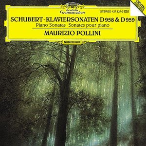 “Schubert: Piano Sonatas D958 & D959”的封面