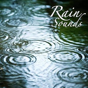 Image for 'Rain Sounds'