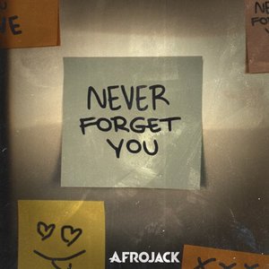“NEVER FORGET YOU”的封面