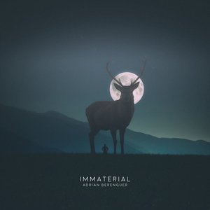 Image for 'Immaterial'