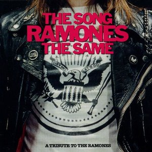 Image for 'The Song Ramones the Same'