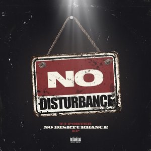 “No Disturbance”的封面