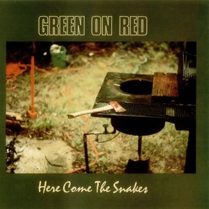Image for 'Here Come The Snakes'