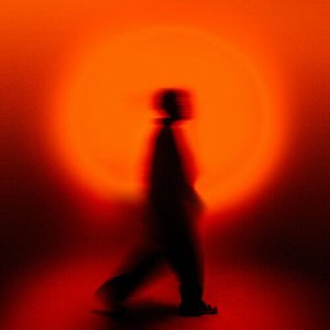 Image pour 'WHERE DID THE SUN GO'