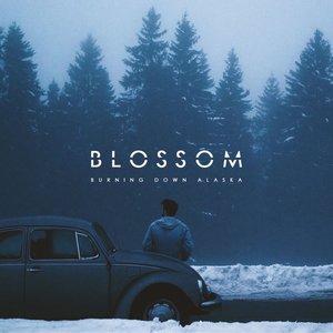 Image for 'Blossom'