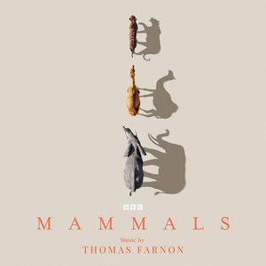 Изображение для 'Mammals (Original Television Soundtrack)'