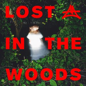 Immagine per 'Lost In The Woods'