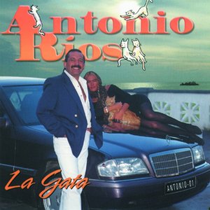 Image for 'La Gata'