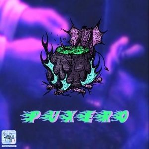 Image for 'Puxero'