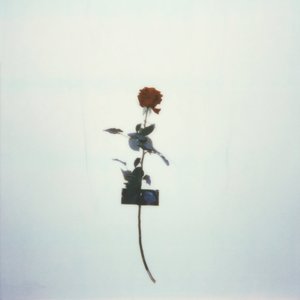 'Love Songs'の画像