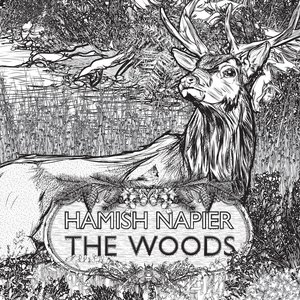 Image for 'The Woods'