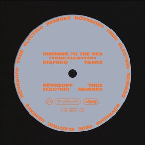 Zdjęcia dla 'Running To The Sea (Disfreq Remix)'
