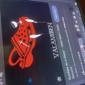 “Valamiben”的封面