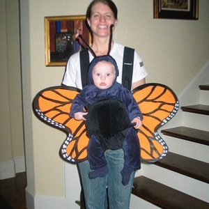 Immagine per 'Butterfly'
