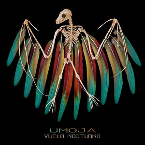 'Vuelo Nocturno'の画像