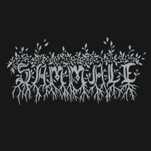 “Sammale”的封面