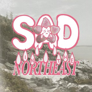 “Sad in the Northeast”的封面