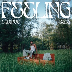 Изображение для 'Feeling'