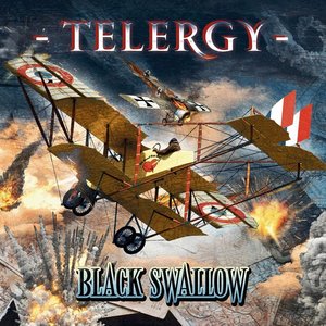 Изображение для 'Black Swallow'