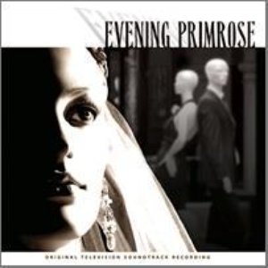 'Evening Primrose' için resim