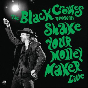 “Shake Your Money Maker (Live)”的封面