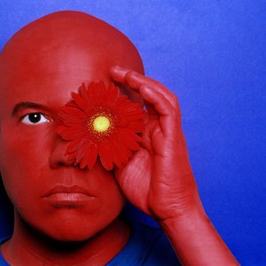 “DJ Dolores”的封面