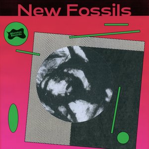 Image for 'New Fossils'