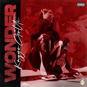 Изображение для 'Wonder'