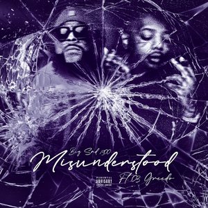 Image for 'Misunderstood'
