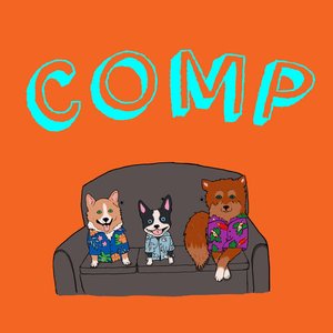 Image for 'Comp'