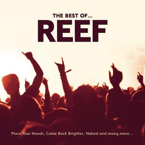 Image for 'The Best Of Reef'