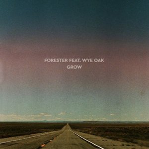 Image for 'Grow (feat. Wye Oak)'