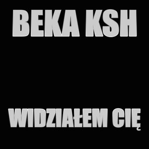 “Widziałem Cię”的封面