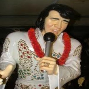 “Elvis 2”的封面