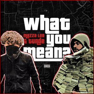 Image for 'What You Mean?'