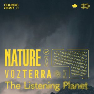 Bild för 'Rain Sounds Symphony'