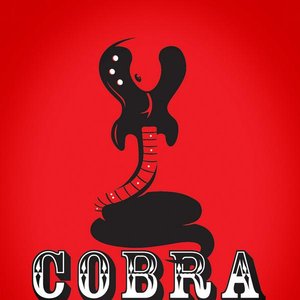Image for 'Cobra Collective'