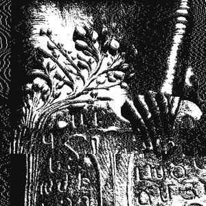 Image for 'For Everything'