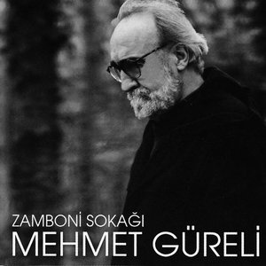 “Zamboni Sokağı”的封面