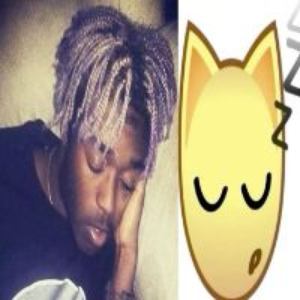 nicon_alt