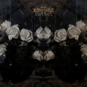 Image for 'Amnesia'