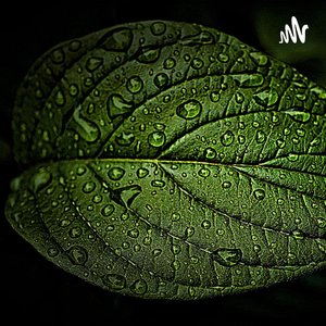 “Som de chuva para Dormir, Relaxar, Meditar, Estudar”的封面