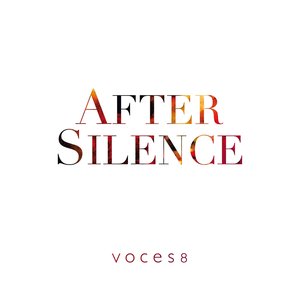 Image for 'After Silence'