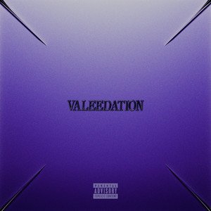 Image for 'VALEEDATION'