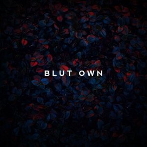 Image for 'Blut Own'